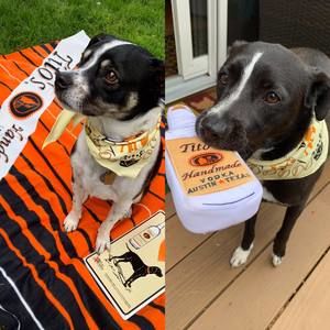 Meet your Posher, Julie